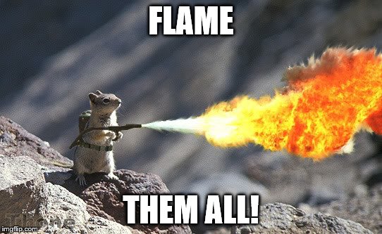 Flame War Squirrel | FLAME THEM ALL! | image tagged in flame war squirrel | made w/ Imgflip meme maker