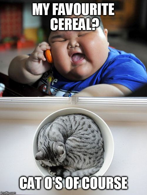 Cat o's are tasty | MY FAVOURITE CEREAL? CAT O'S OF COURSE | image tagged in fat asian kid,cat | made w/ Imgflip meme maker