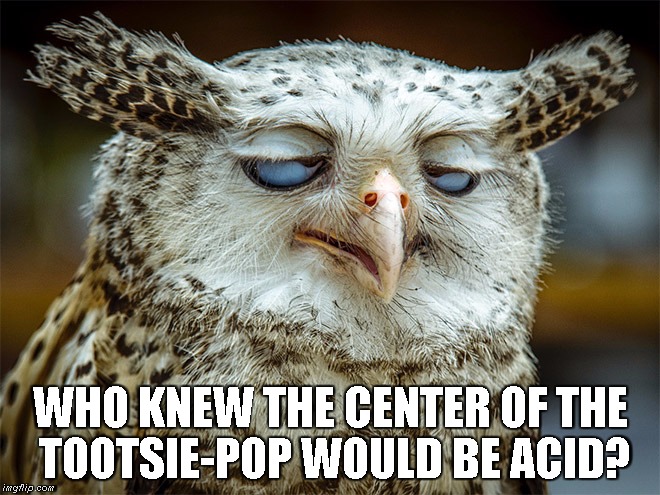 Stoned Owl | WHO KNEW THE CENTER OF THE TOOTSIE-POP WOULD BE ACID? | image tagged in owl,acid | made w/ Imgflip meme maker