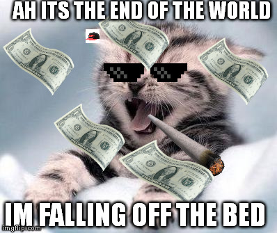 MLG KITTY | AH ITS THE END OF THE WORLD; IM FALLING OFF THE BED | image tagged in mlg kitty | made w/ Imgflip meme maker