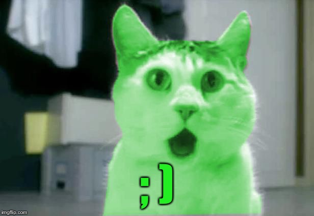 OMG RayCat | ; ) | image tagged in omg raycat | made w/ Imgflip meme maker