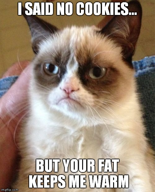 Grumpy Cat Meme | I SAID NO COOKIES... BUT YOUR FAT KEEPS ME WARM | image tagged in memes,grumpy cat | made w/ Imgflip meme maker