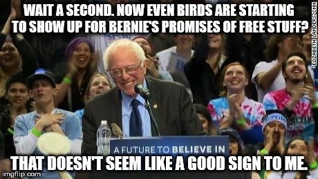 Sanders birdie | WAIT A SECOND. NOW EVEN BIRDS ARE STARTING TO SHOW UP FOR BERNIE'S PROMISES OF FREE STUFF? THAT DOESN'T SEEM LIKE A GOOD SIGN TO ME. | image tagged in sanders birdie | made w/ Imgflip meme maker