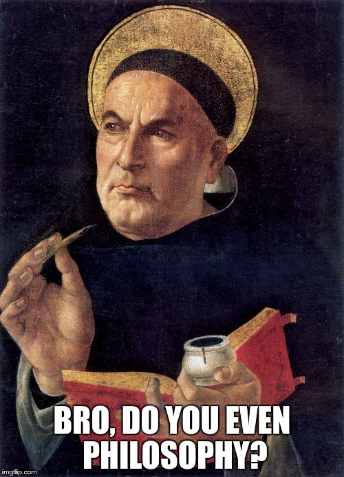 Aquinas Bro | BRO, DO YOU EVEN PHILOSOPHY? | image tagged in religion,philosophy,catholicism | made w/ Imgflip meme maker
