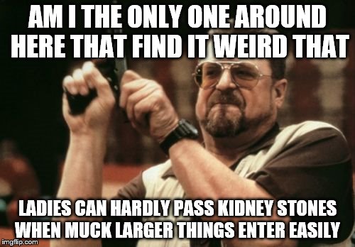 Am I The Only One Around Here Meme |  AM I THE ONLY ONE AROUND HERE THAT FIND IT WEIRD THAT; LADIES CAN HARDLY PASS KIDNEY STONES WHEN MUCK LARGER THINGS ENTER EASILY | image tagged in memes,am i the only one around here | made w/ Imgflip meme maker