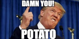DAMN YOU! POTATO | image tagged in donald trump,derp,donald trump derp | made w/ Imgflip meme maker