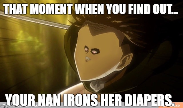 Levi | THAT MOMENT WHEN YOU FIND OUT... YOUR NAN IRONS HER DIAPERS. | image tagged in levi | made w/ Imgflip meme maker