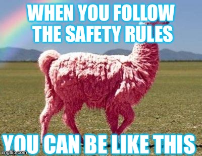 Llamas are koo | WHEN YOU FOLLOW THE SAFETY RULES; YOU CAN BE LIKE THIS | image tagged in llamas are koo | made w/ Imgflip meme maker