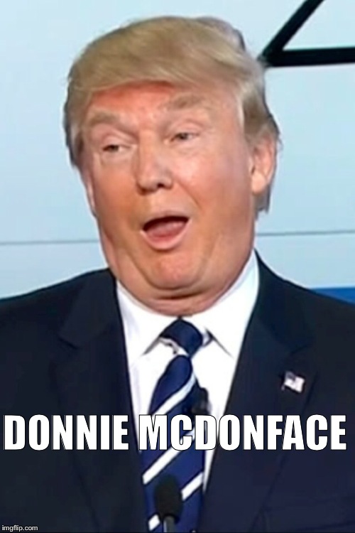Donald Derp | DONNIE MCDONFACE | image tagged in memes,trump,boaty mcboatface,featured,latest,homepage | made w/ Imgflip meme maker