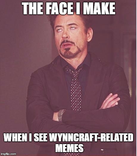 Face You Make Robert Downey Jr Meme | THE FACE I MAKE; WHEN I SEE WYNNCRAFT-RELATED MEMES | image tagged in memes,face you make robert downey jr | made w/ Imgflip meme maker