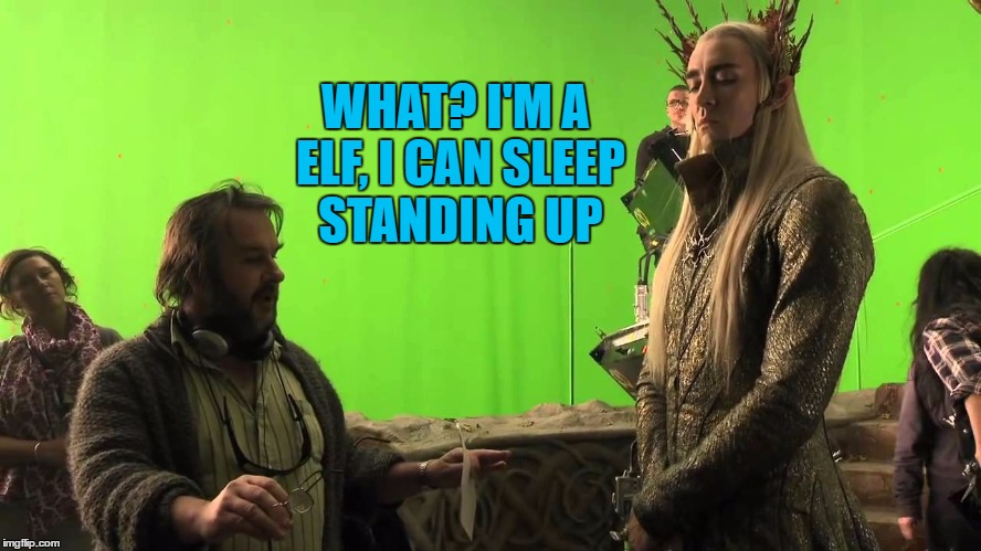 (Nap)Time Out | WHAT? I'M A ELF, I CAN SLEEP STANDING UP | image tagged in thranduil monday,thranduil meme | made w/ Imgflip meme maker