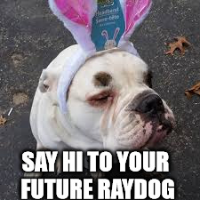 SAY HI TO YOUR FUTURE RAYDOG | made w/ Imgflip meme maker