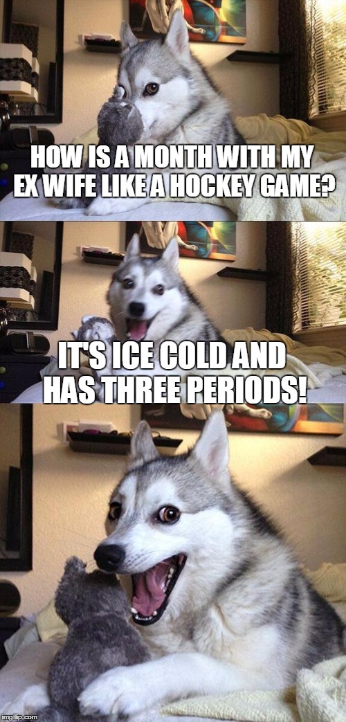 And those are her good qualities! | HOW IS A MONTH WITH MY EX WIFE LIKE A HOCKEY GAME? IT'S ICE COLD AND HAS THREE PERIODS! | image tagged in memes,bad pun dog,ex wife,hockey | made w/ Imgflip meme maker