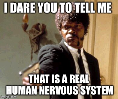Say That Again I Dare You Meme | I DARE YOU TO TELL ME THAT IS A REAL HUMAN NERVOUS SYSTEM | image tagged in memes,say that again i dare you | made w/ Imgflip meme maker