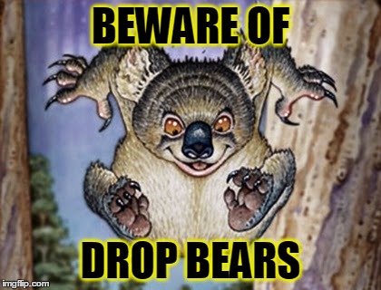 BEWARE OF DROP BEARS | made w/ Imgflip meme maker