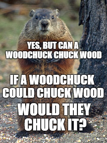 YES, BUT CAN A WOODCHUCK CHUCK WOOD IF A WOODCHUCK COULD CHUCK WOOD WOULD THEY CHUCK IT? | made w/ Imgflip meme maker