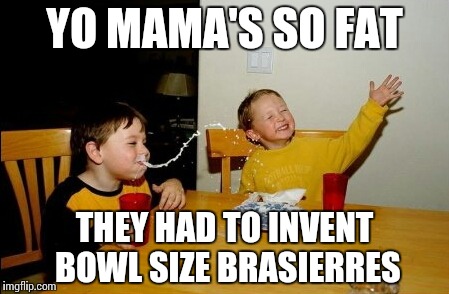 Yo Mamas So Fat | YO MAMA'S SO FAT; THEY HAD TO INVENT BOWL SIZE BRASIERRES | image tagged in memes,yo mamas so fat | made w/ Imgflip meme maker