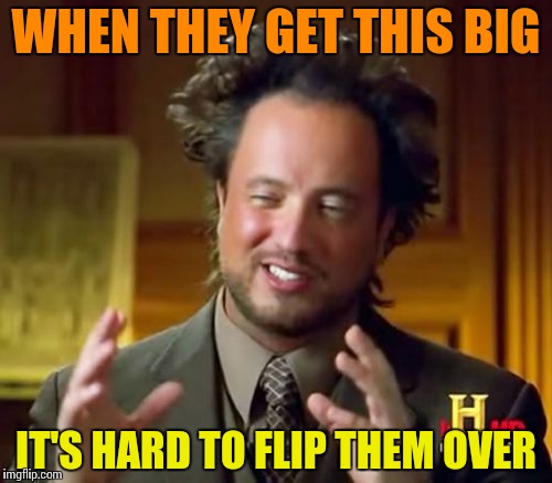 Ancient Aliens | WHEN THEY GET THIS BIG; IT'S HARD TO FLIP THEM OVER | image tagged in memes,ancient aliens | made w/ Imgflip meme maker