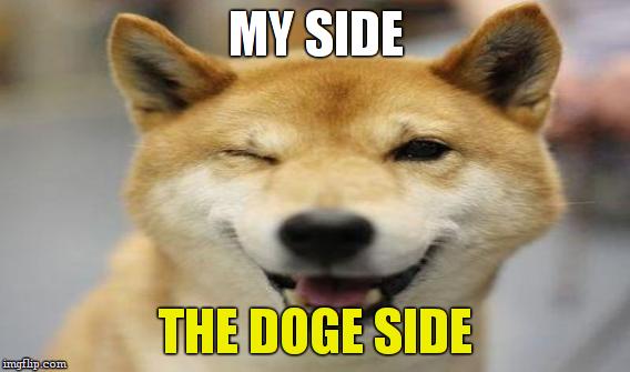 MY SIDE THE DOGE SIDE | made w/ Imgflip meme maker