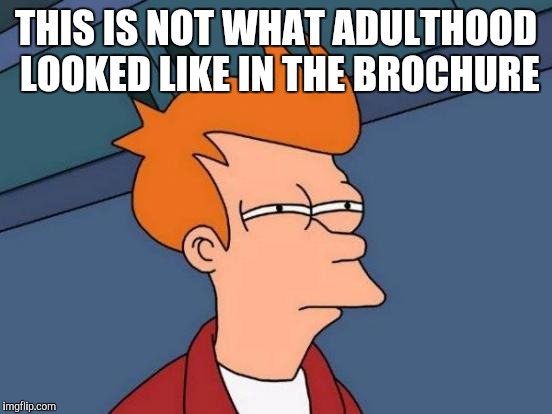 Futurama Fry Meme | THIS IS NOT WHAT ADULTHOOD LOOKED LIKE IN THE BROCHURE | image tagged in memes,futurama fry | made w/ Imgflip meme maker