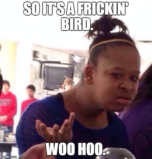 Black Girl Wat Meme | SO IT'S A FRICKIN' BIRD. WOO HOO. | image tagged in memes,black girl wat | made w/ Imgflip meme maker