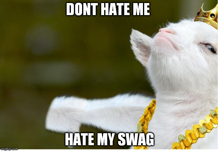 swag goat | DONT HATE ME; HATE MY SWAG | image tagged in goat,meme | made w/ Imgflip meme maker