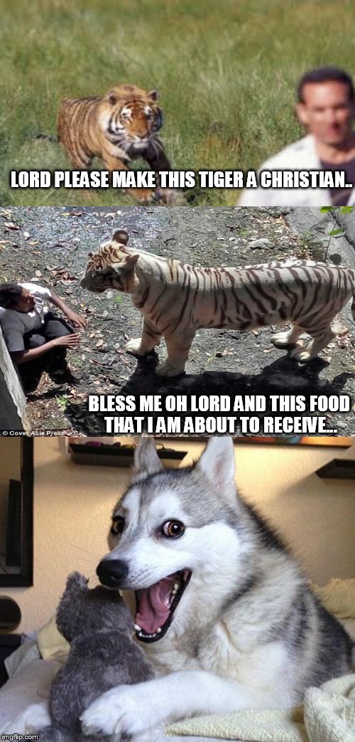 Bad Pun Dog Meme | LORD PLEASE MAKE THIS TIGER A CHRISTIAN.. BLESS ME OH LORD AND THIS FOOD THAT I AM ABOUT TO RECEIVE... | image tagged in memes,bad pun dog | made w/ Imgflip meme maker