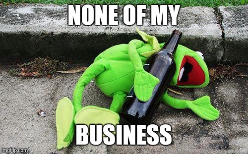 Drunk Kermit | NONE OF MY; BUSINESS | image tagged in drunk kermit | made w/ Imgflip meme maker