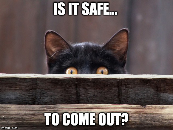 IS IT SAFE... TO COME OUT? | made w/ Imgflip meme maker