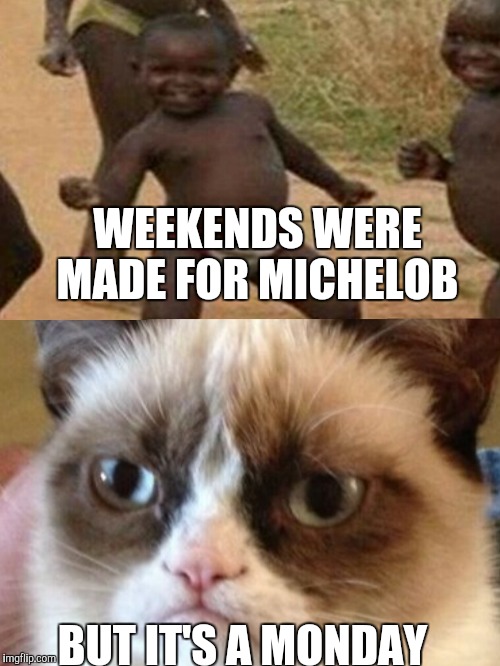 It's Monday | WEEKENDS WERE MADE FOR MICHELOB; BUT IT'S A MONDAY | image tagged in funny memes | made w/ Imgflip meme maker