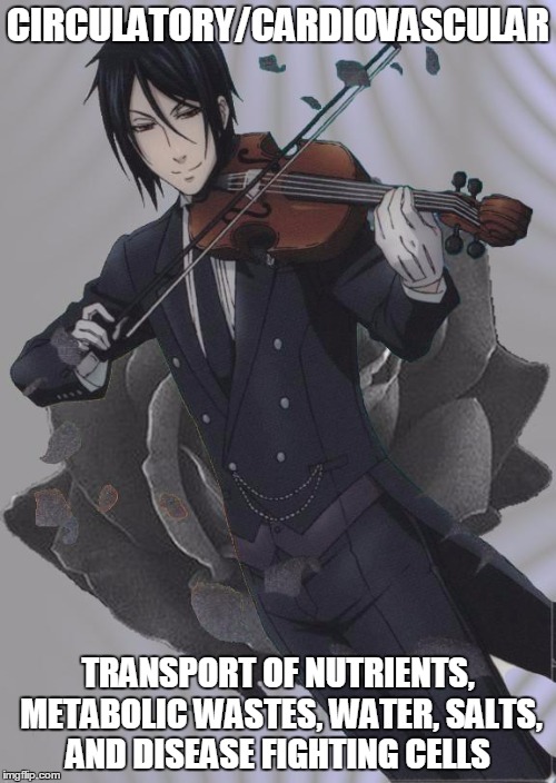 Black Butler | CIRCULATORY/CARDIOVASCULAR; TRANSPORT OF NUTRIENTS, METABOLIC WASTES, WATER, SALTS, AND DISEASE FIGHTING CELLS | image tagged in black butler | made w/ Imgflip meme maker