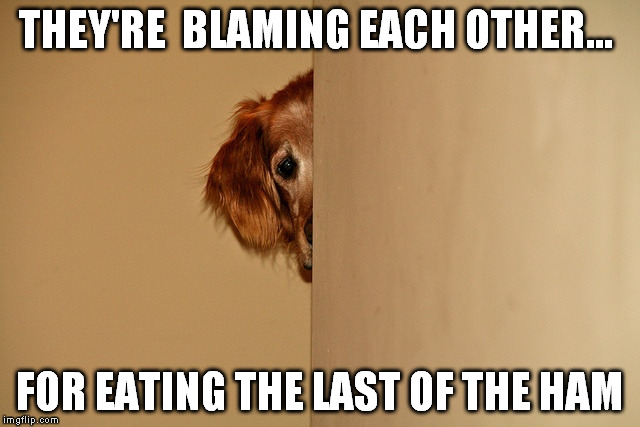 THEY'RE  BLAMING EACH OTHER... FOR EATING THE LAST OF THE HAM | made w/ Imgflip meme maker