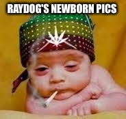 RAYDOG'S NEWBORN PICS | made w/ Imgflip meme maker