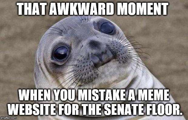 Us political memers actually think politicians care what goes on here.  | THAT AWKWARD MOMENT; WHEN YOU MISTAKE A MEME WEBSITE FOR THE SENATE FLOOR. | image tagged in memes,awkward moment sealion | made w/ Imgflip meme maker