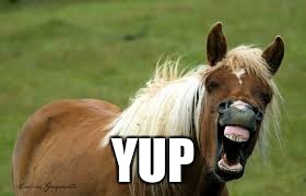 YUP | made w/ Imgflip meme maker