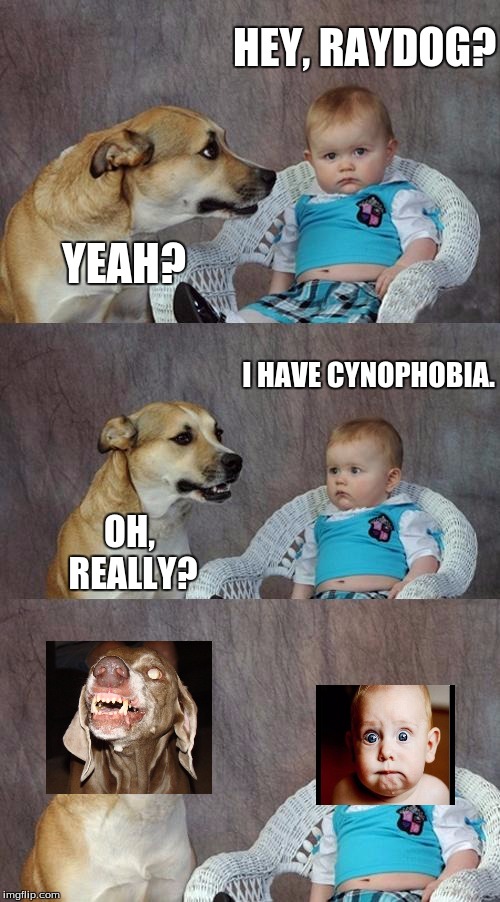 I actually have Cynophobia in real life. o_O | HEY, RAYDOG? YEAH? I HAVE CYNOPHOBIA. OH, REALLY? | image tagged in memes,dad joke dog | made w/ Imgflip meme maker