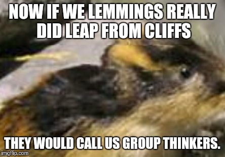 Lemmings memes. Best Collection of funny Lemmings pictures on