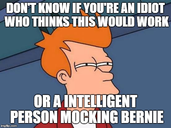 Futurama Fry Meme | DON'T KNOW IF YOU'RE AN IDIOT WHO THINKS THIS WOULD WORK OR A INTELLIGENT PERSON MOCKING BERNIE | image tagged in memes,futurama fry | made w/ Imgflip meme maker