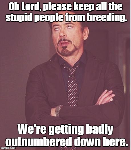 Face You Make Robert Downey Jr | Oh Lord, please keep all the stupid people from breeding. We're getting badly outnumbered down here. | image tagged in memes,face you make robert downey jr | made w/ Imgflip meme maker