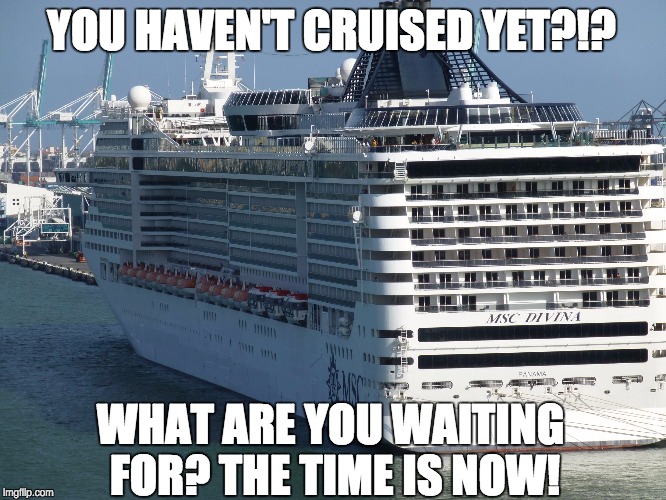 Y Not Cruise | YOU HAVEN'T CRUISED YET?!? WHAT ARE YOU WAITING FOR? THE TIME IS NOW! | image tagged in y not cruise | made w/ Imgflip meme maker