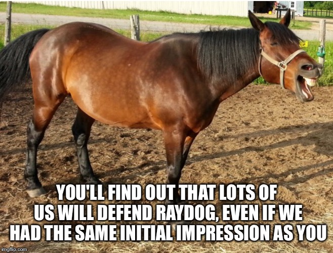 LAUGHING HORSE | YOU'LL FIND OUT THAT LOTS OF US WILL DEFEND RAYDOG, EVEN IF WE HAD THE SAME INITIAL IMPRESSION AS YOU | image tagged in laughing horse | made w/ Imgflip meme maker