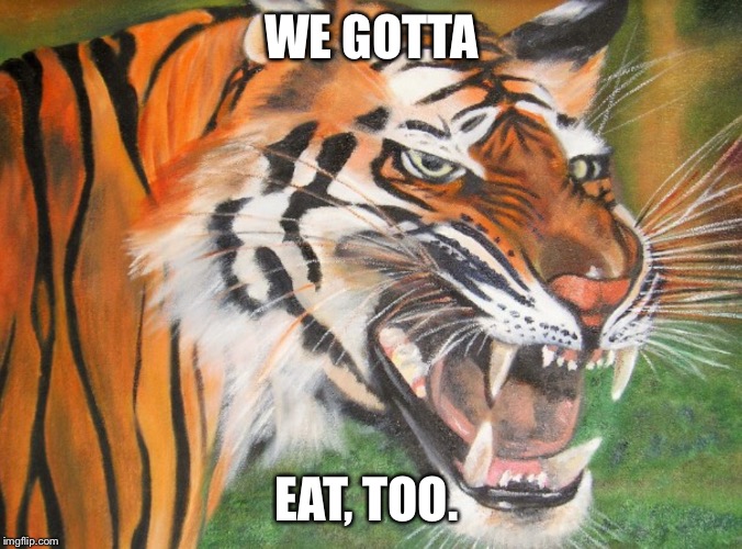 Hipster tiger | WE GOTTA EAT, TOO. | image tagged in hipster tiger | made w/ Imgflip meme maker