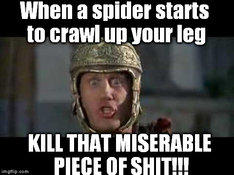 On the Topic of Spiders | When a spider starts to crawl up your leg; KILL THAT MISERABLE PIECE OF SHIT!!! | image tagged in memes,funny,move that miserable piece of shit,spiders,arachnophobia | made w/ Imgflip meme maker