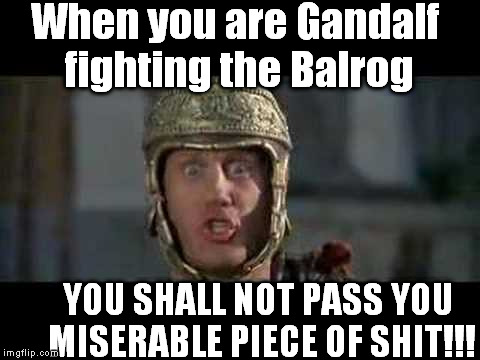 Gandalf Don't Take Shit From Balrogs | When you are Gandalf fighting the Balrog; YOU SHALL NOT PASS YOU MISERABLE PIECE OF SHIT!!! | image tagged in memes,funny,lotr,gandalf,you shall not pass,move that miserable piece of shit | made w/ Imgflip meme maker