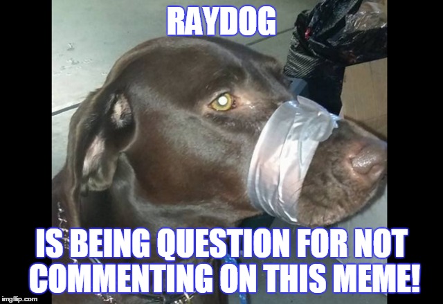 RAYDOG IS BEING QUESTION FOR NOT COMMENTING ON THIS MEME! | made w/ Imgflip meme maker