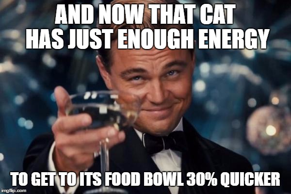 Leonardo Dicaprio Cheers Meme | AND NOW THAT CAT HAS JUST ENOUGH ENERGY TO GET TO ITS FOOD BOWL 30% QUICKER | image tagged in memes,leonardo dicaprio cheers | made w/ Imgflip meme maker