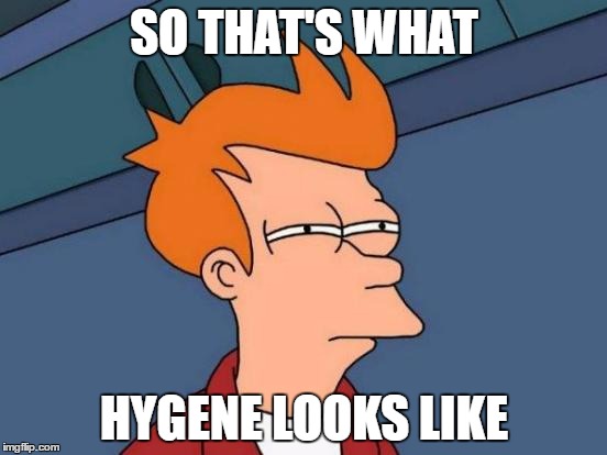 Futurama Fry Meme | SO THAT'S WHAT; HYGENE LOOKS LIKE | image tagged in memes,futurama fry | made w/ Imgflip meme maker