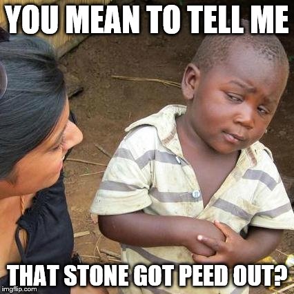 Third World Skeptical Kid | YOU MEAN TO TELL ME; THAT STONE GOT PEED OUT? | image tagged in memes,third world skeptical kid | made w/ Imgflip meme maker