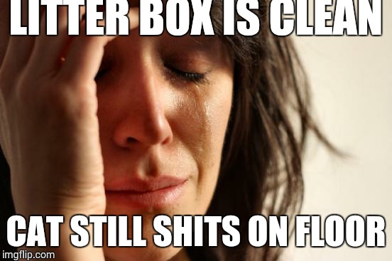 First World Problems Meme | LITTER BOX IS CLEAN; CAT STILL SHITS ON FLOOR | image tagged in memes,first world problems | made w/ Imgflip meme maker