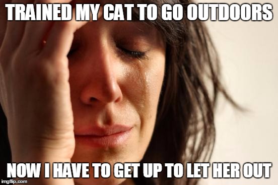 First World Problems Meme | TRAINED MY CAT TO GO OUTDOORS NOW I HAVE TO GET UP TO LET HER OUT | image tagged in memes,first world problems | made w/ Imgflip meme maker